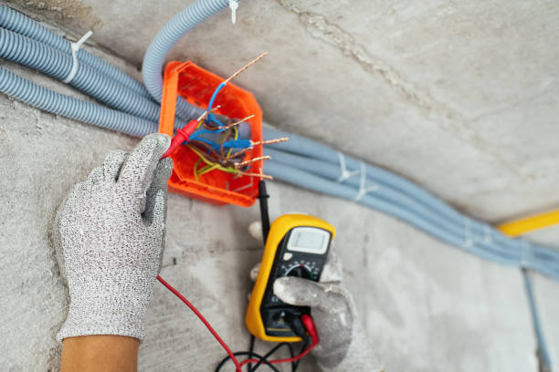 Best Local Electrician Companies  in Frederickson, WA