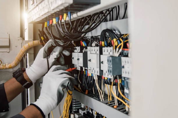 Best Electric Panel Repair  in Frederickson, WA